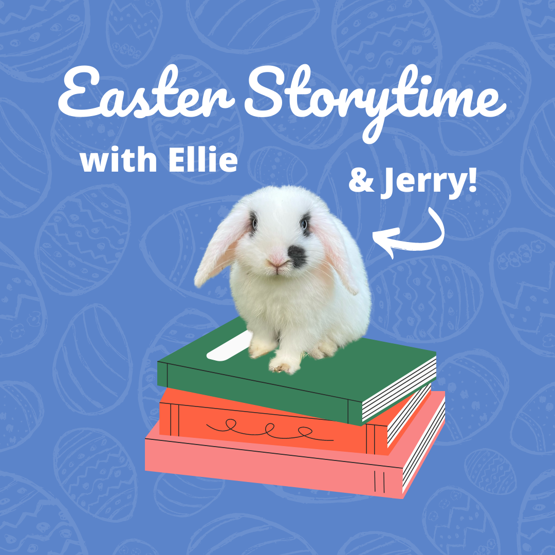 Hop in store! post image