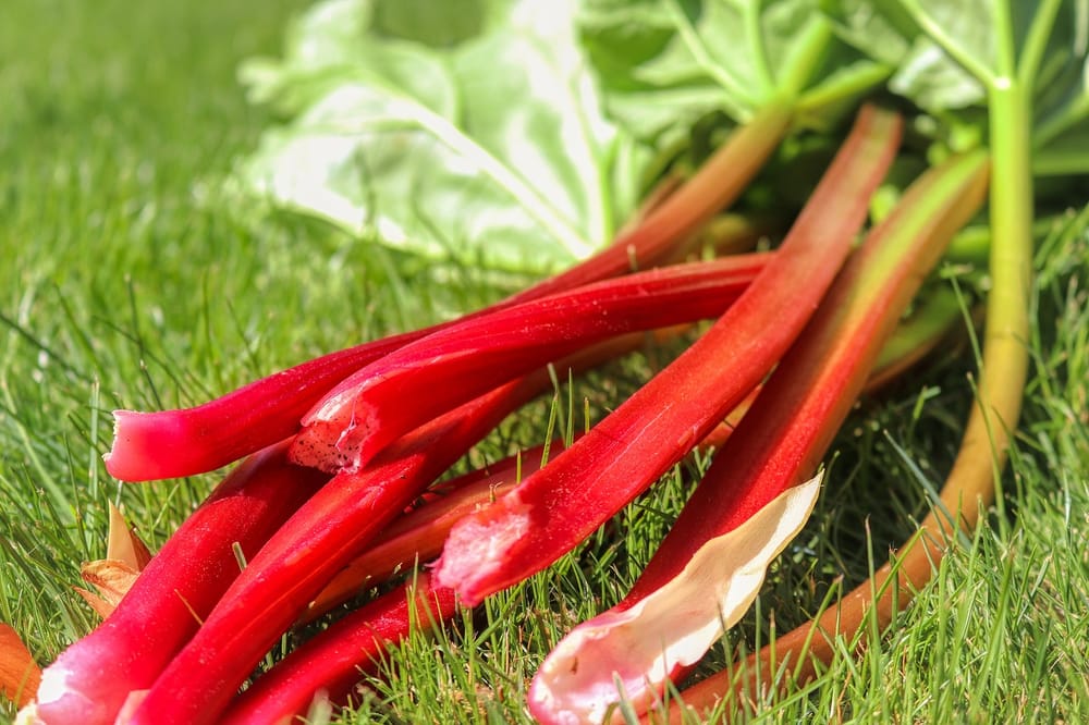 Fruit and veg in season in August post image