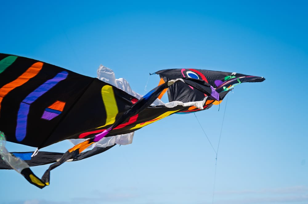 Kites soar by the sea at Thirroul festival's new family picnic day post image