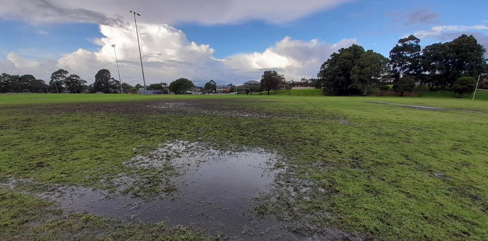 Council's Community Update: 1 June 2022 post image
