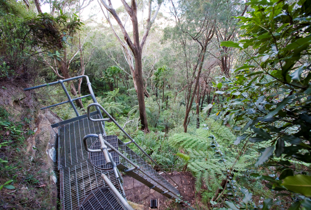 Extended closure of Sublime Point walking track due to rock fall risk post image