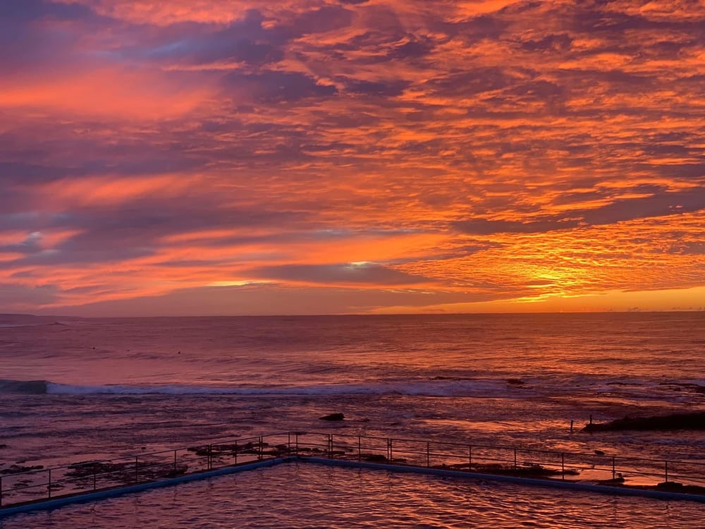 Nature Notes: 8 June 2022 post image