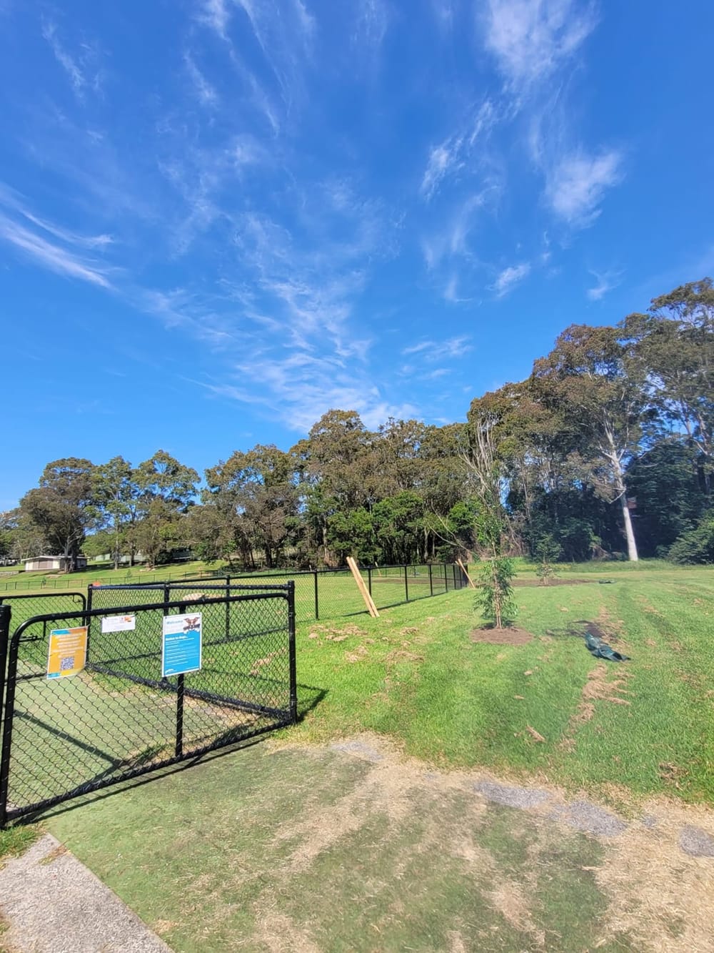 Top 3 Parks with Off-Leash Dog Areas post image