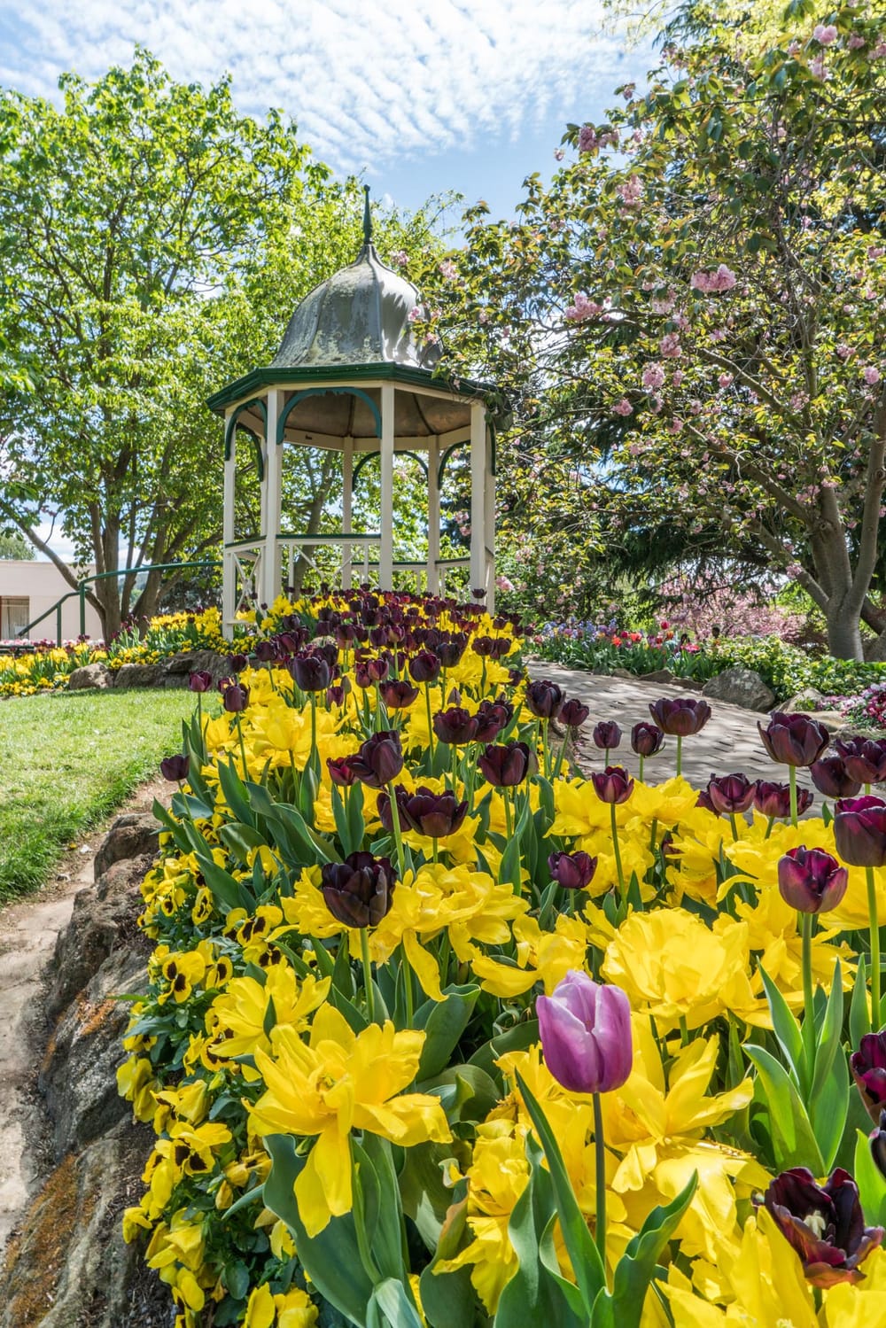 Spring sensation: discover the Tulip Time Festival in Bowral post image