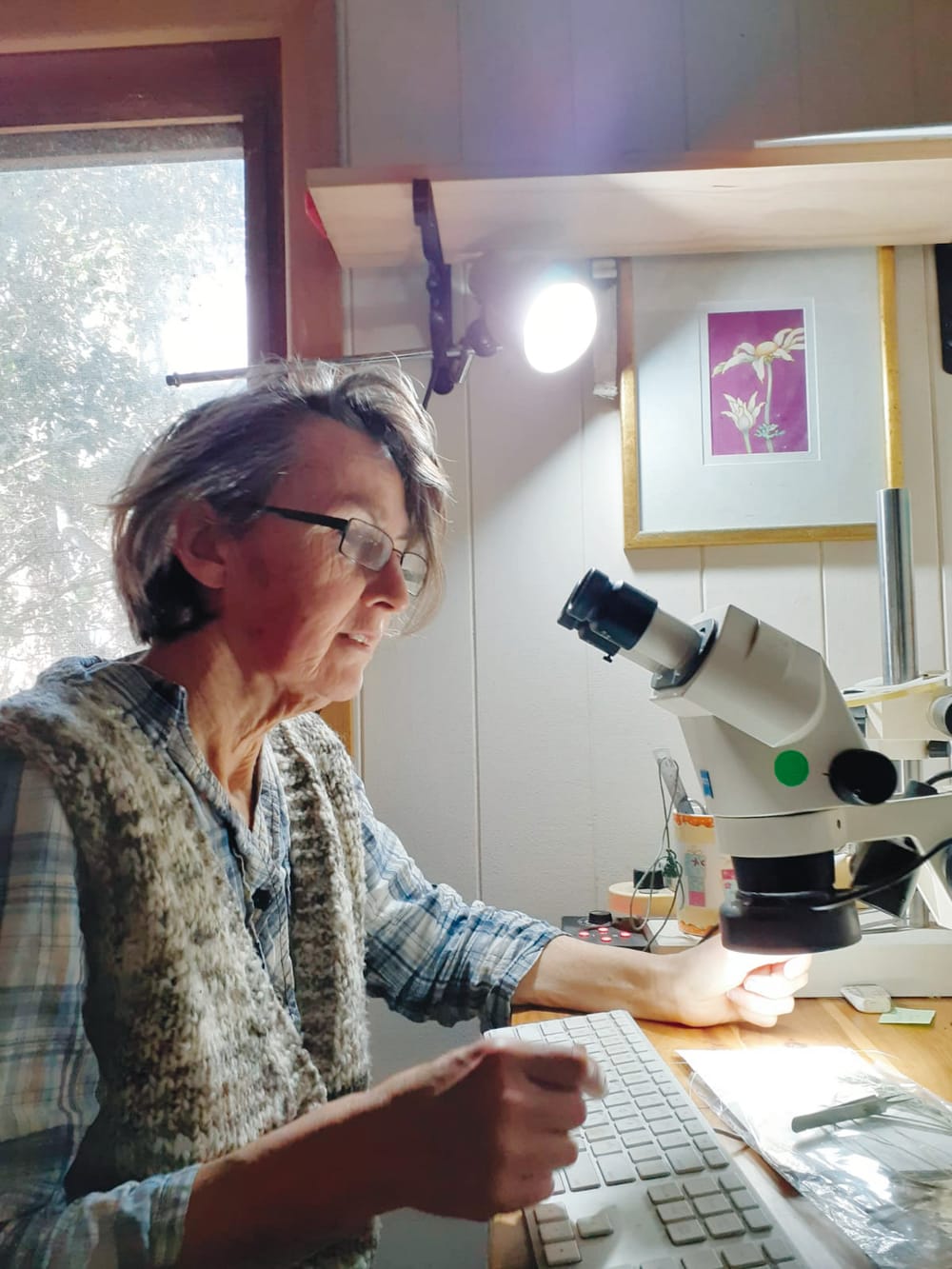 A co-op shop is a ‘weekly ritual’ post image