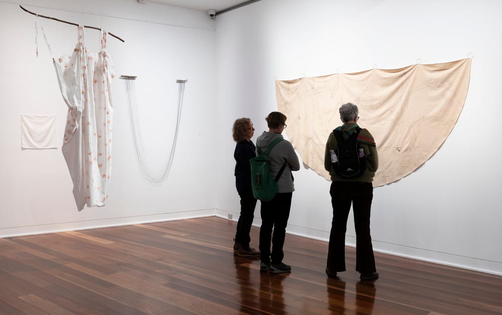 'I’m drawn to the frays and the edges': Michele Elliot on her art practice post image