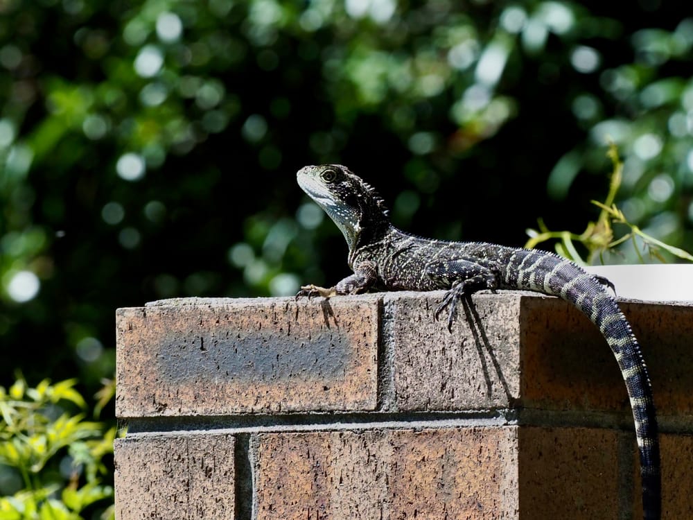 Welcome to Wednesday post image