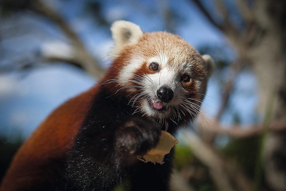 Pay it forward with Symbio post image