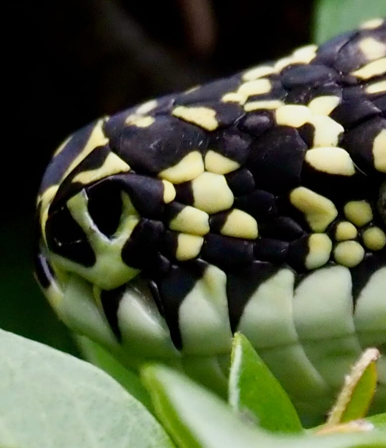 'While you are sleeping, I move through the night' post image