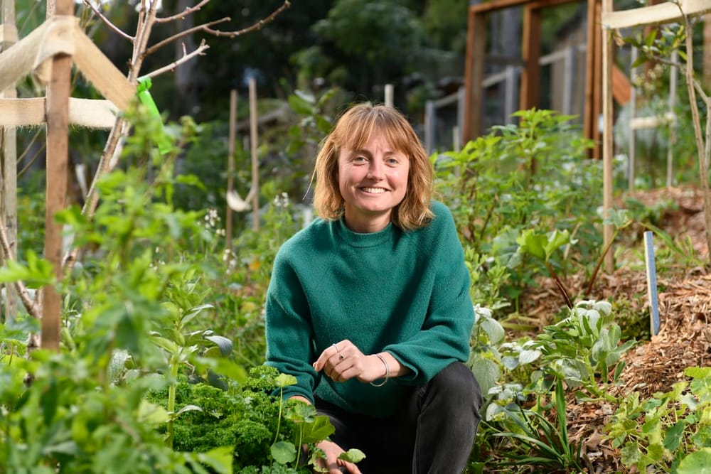 Growing the Illawarra Edible Garden Trail post image