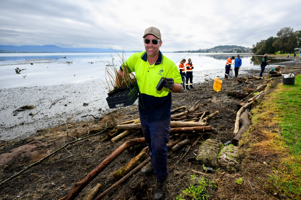 Food for fish: Endangered saltmarsh planted to boost marine life at Karoo Bay post image