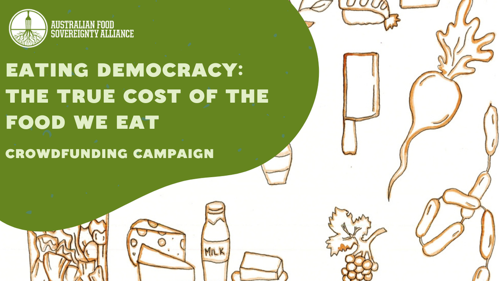 Alliance launches crowd-funding campaign to publish 'Eating Democracy' book post image