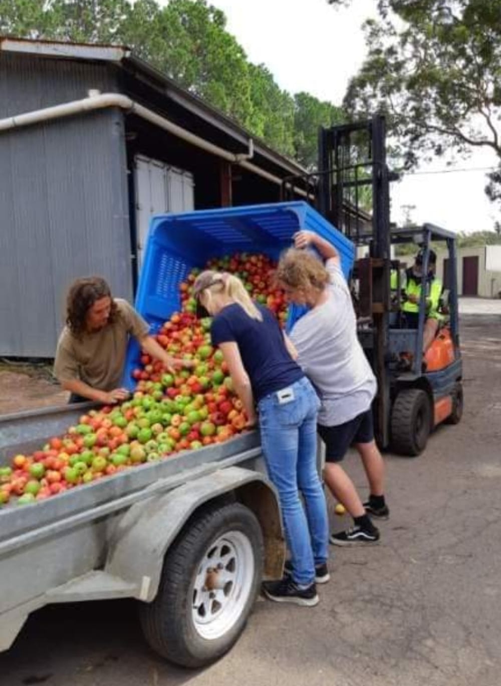 After the fires: Wildlife Stations Shoalhaven post image