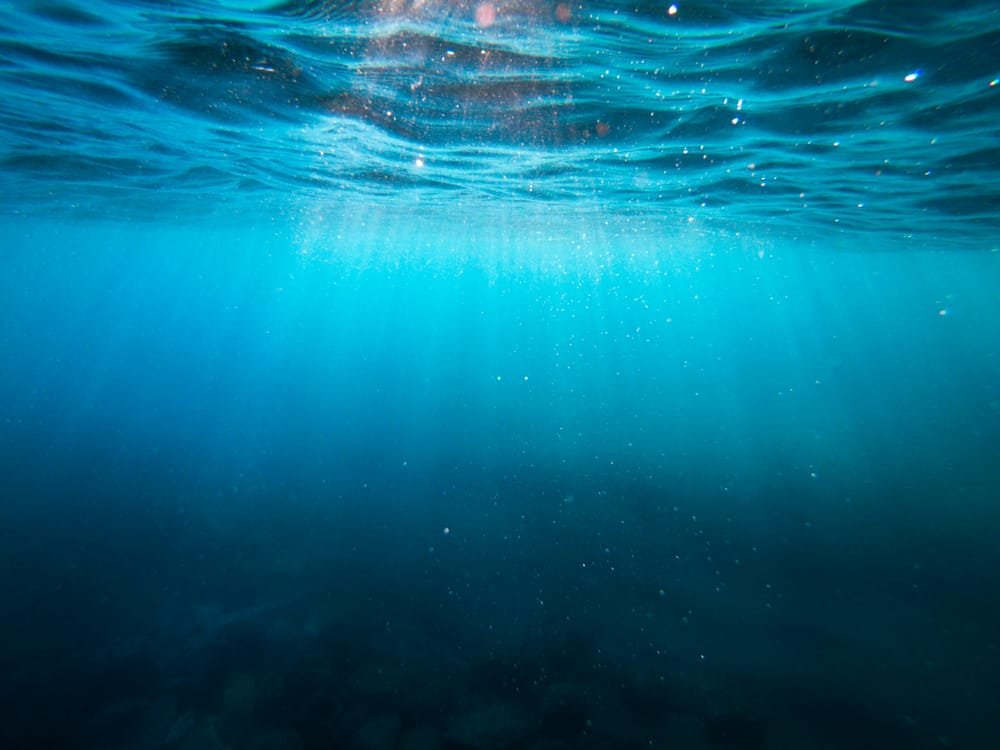 The historic High Seas Treaty is almost reality. Here’s what it would mean for ocean conservation post image