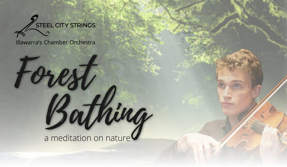 The Steel City Strings present 'Forest Bathing' post image