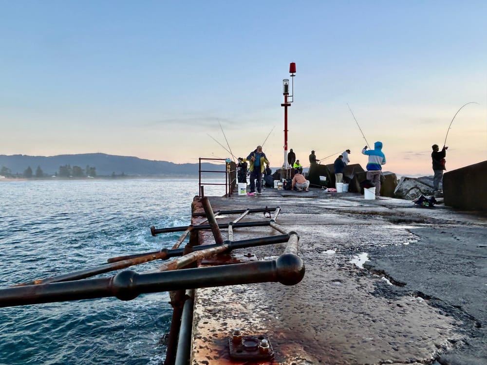 NSW Maritime says it will act to improve safety at Wollongong harbour drowning spot, as more safety fencing collapses post image