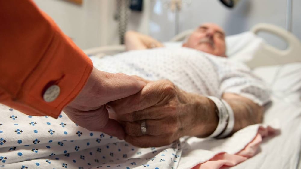 ‘The little peak that could’: How a local group is tackling the aged care crisis post image