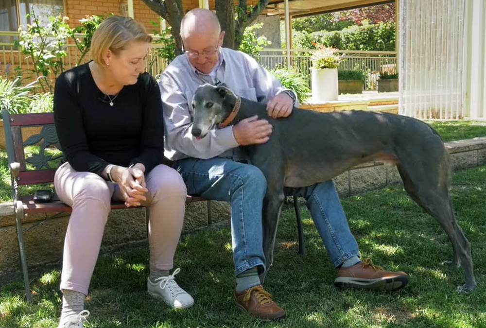 Dying to Know Day post image