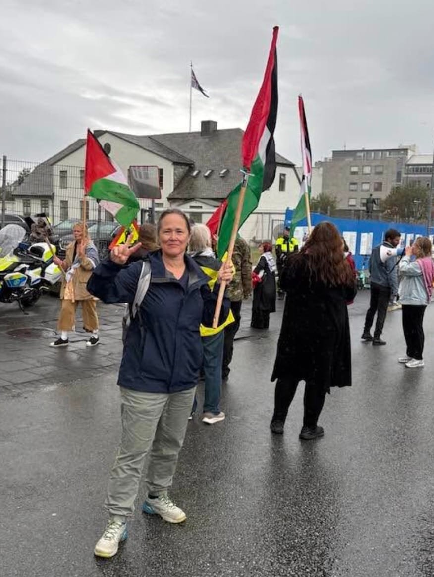 Should Wollongong officially fly the Palestinian flag? post image