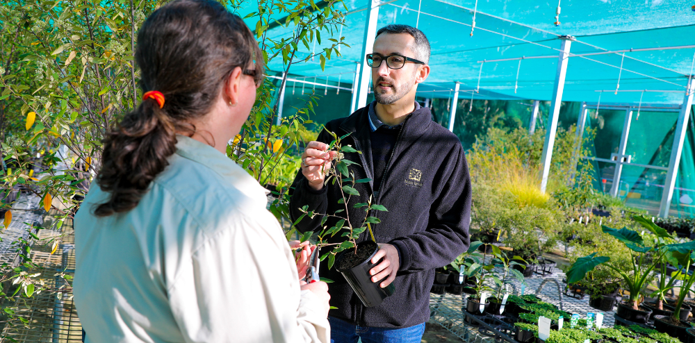 Here’s how you can plant your winter garden post image