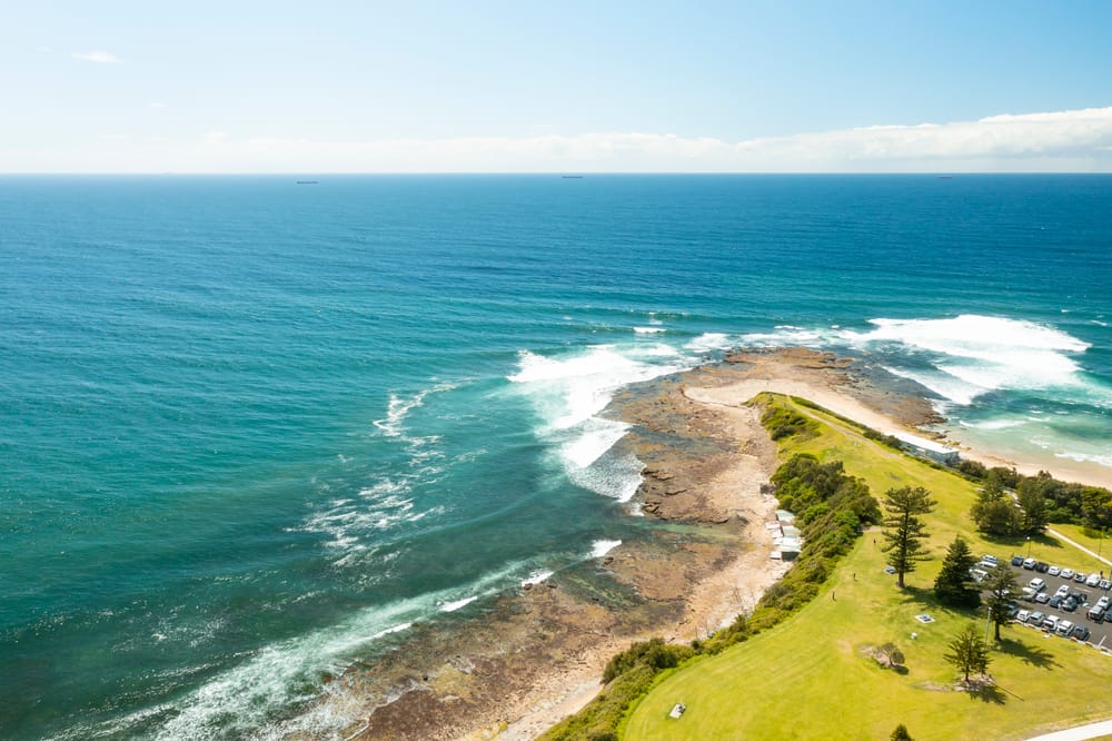 Tides Are Changing: Reasons to celebrate on World Oceans Day post image