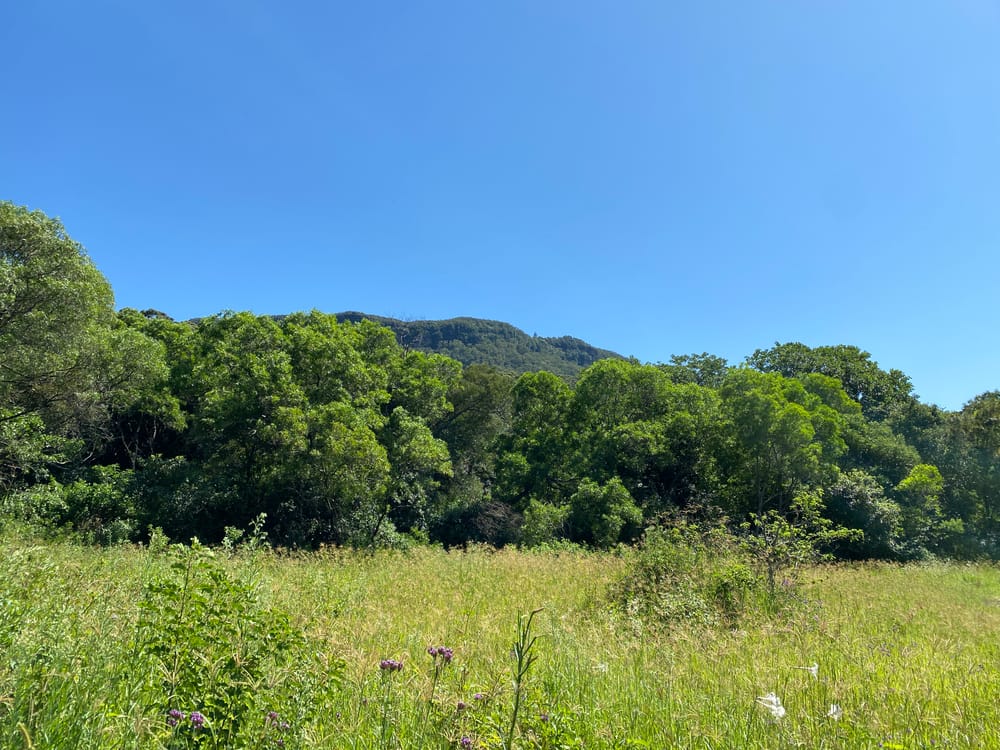 Hi there, Wednesday readers post image