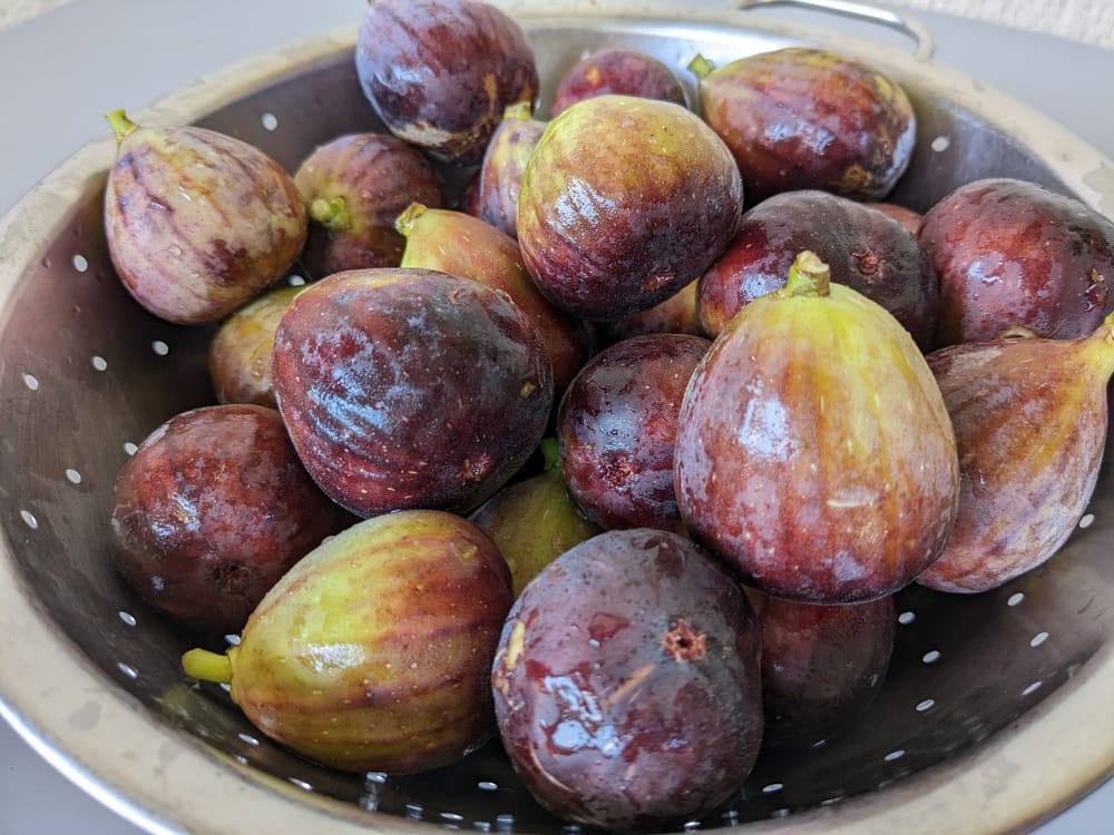 This Thursday: Figs, cheeses and rainbows post image