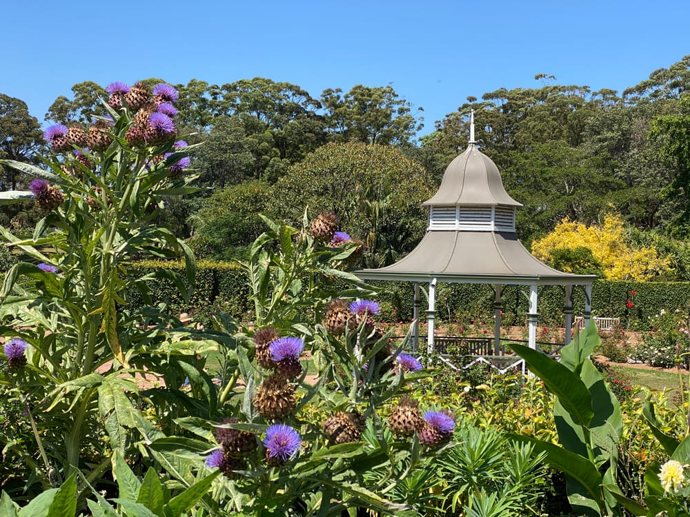 Love it or hate it, Valentine's Day is on the way post image