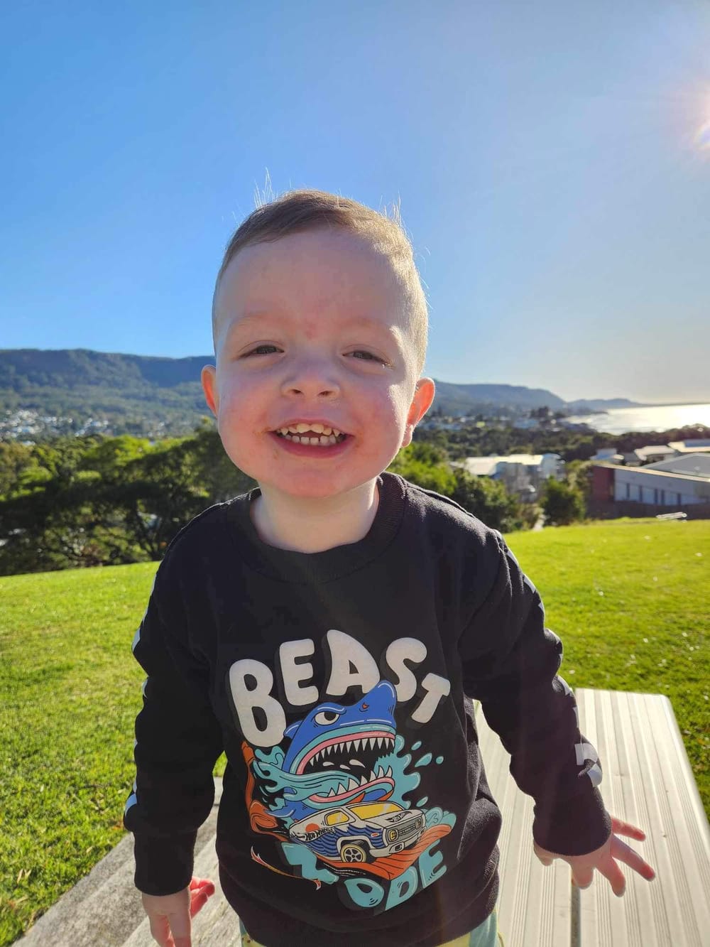 Lights for Louie: How one little superhero is lighting up Christmas for sick kids post image