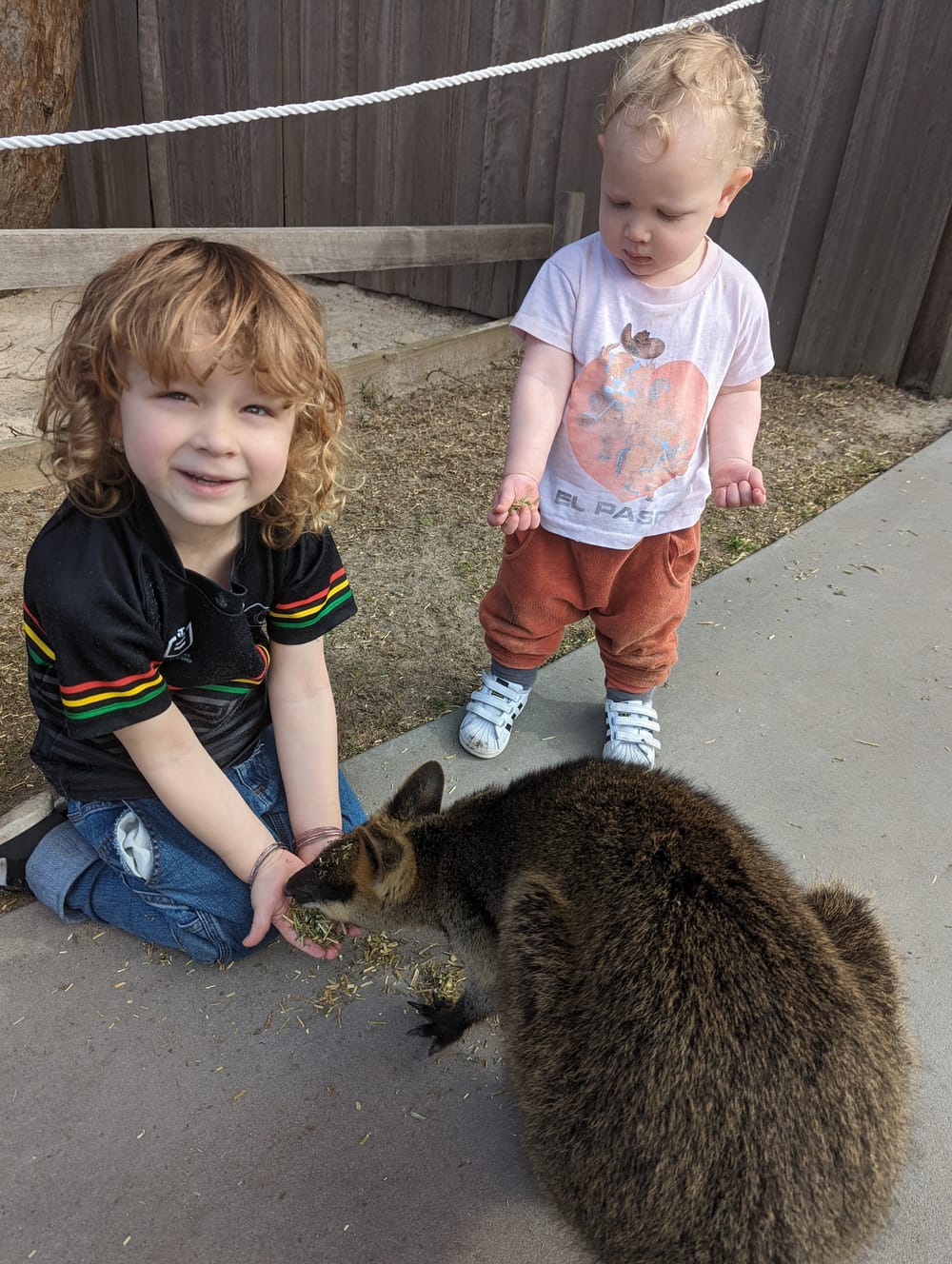 'Symbio is the perfect size for kids' post image