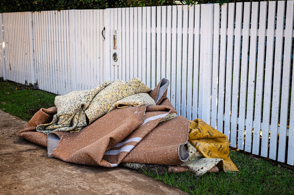 After the storm: Latest news from the government post image