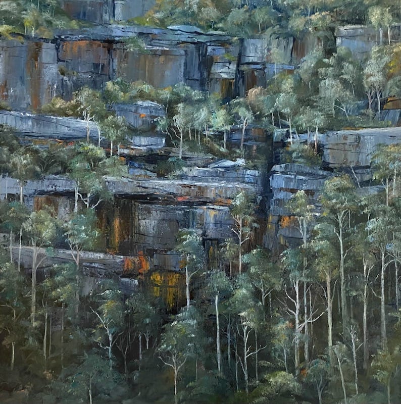 Meet an Artist of the Illawarra: David Manks post image