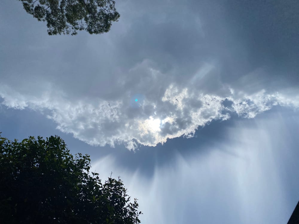 Hello to another Wild Wednesday post image