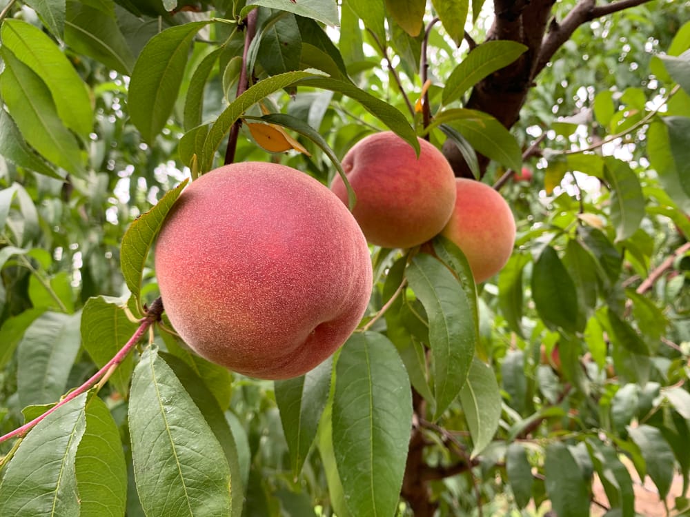 Hello, Thursday readers post image