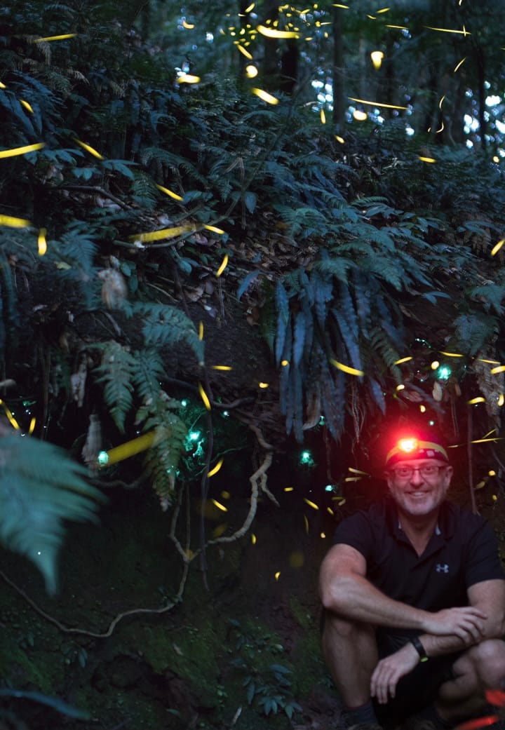 Nature Notes: Time is running out to spot fireflies post image
