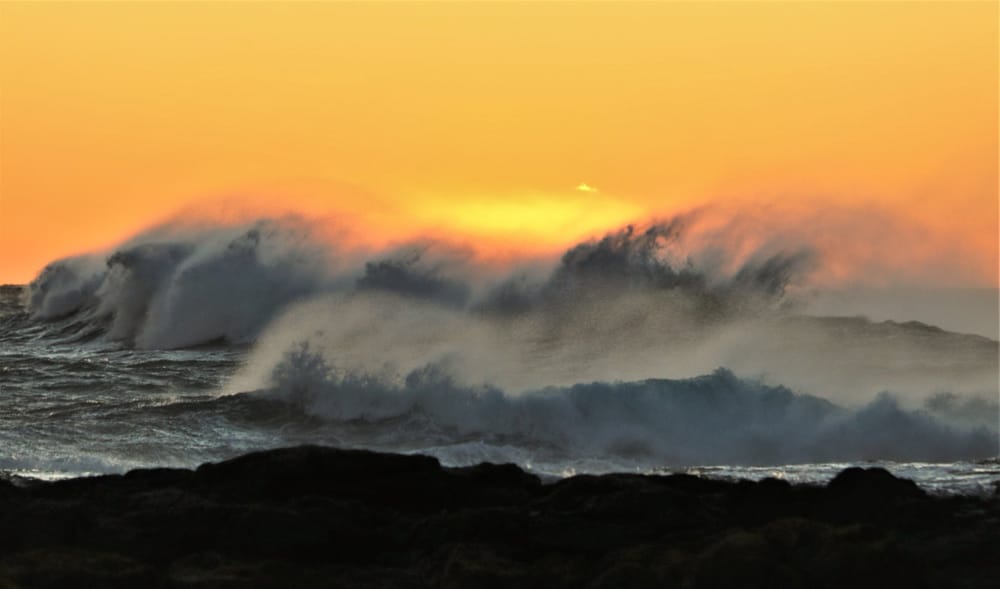 Nature Notes: from sunrise on steroids to shark talk post image