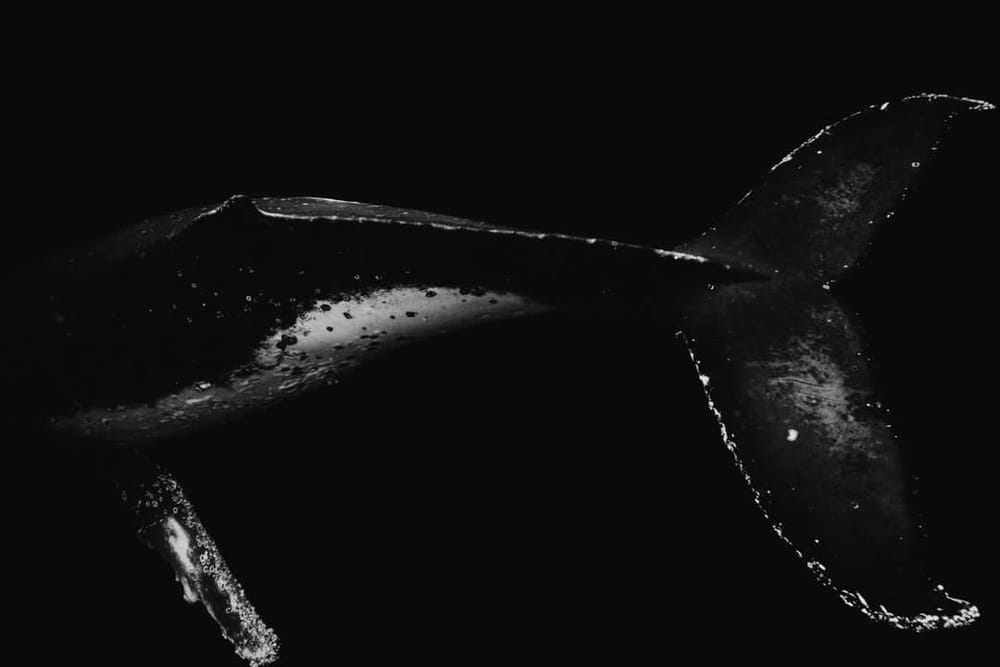 Finding light in darkness: dive into the world of photographer Ben Bagley post image