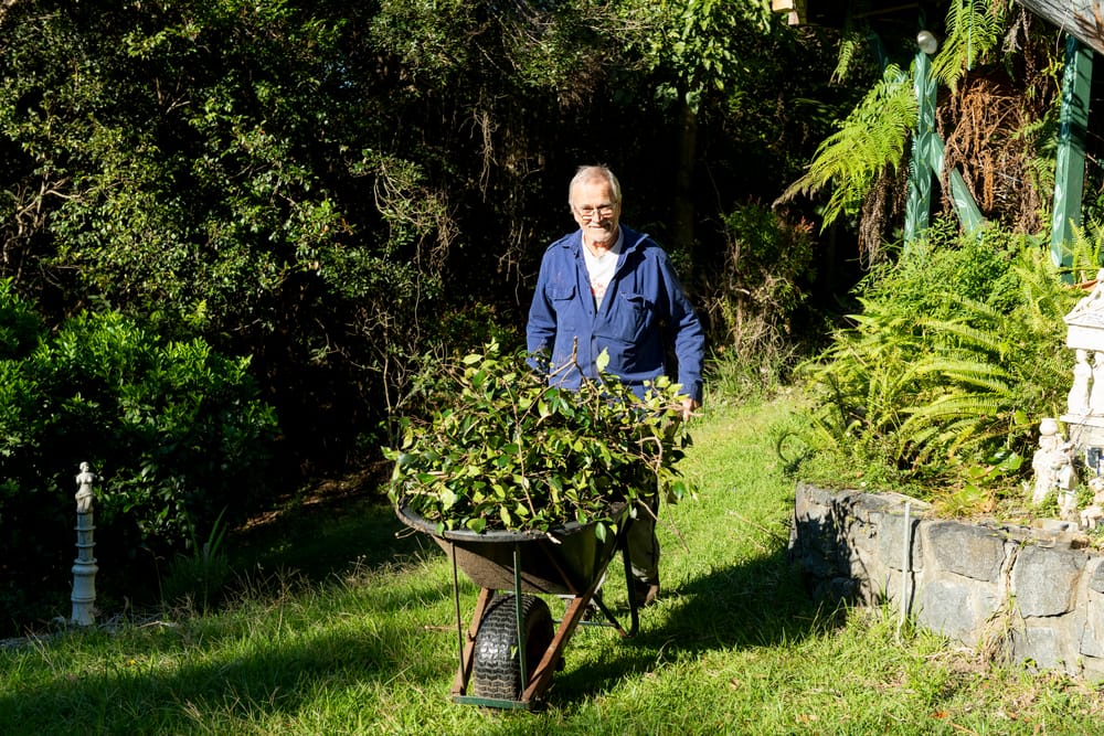 Stanwell Park's Banksia Bushcare wins award for fostering community spirit post image