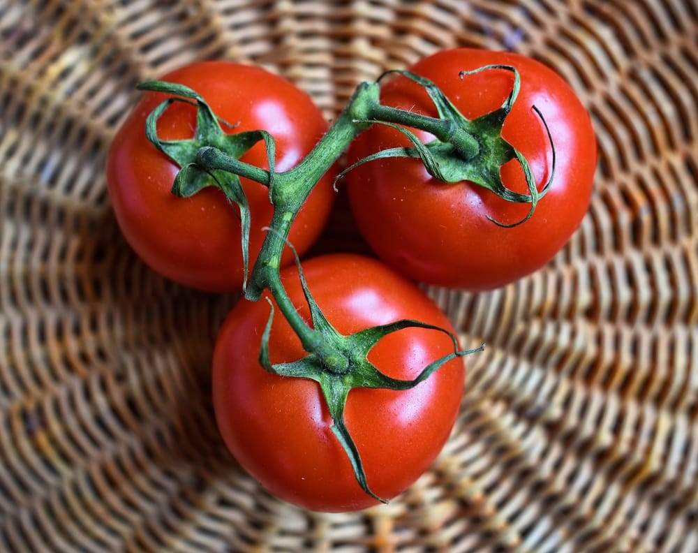 Let's talk about tomatoes post image