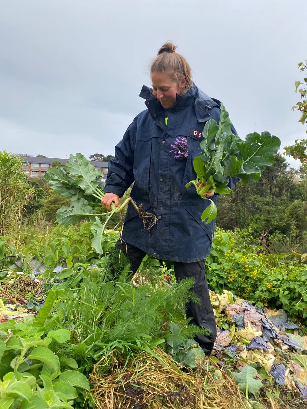 Meet public health champion Amy Carrad post image