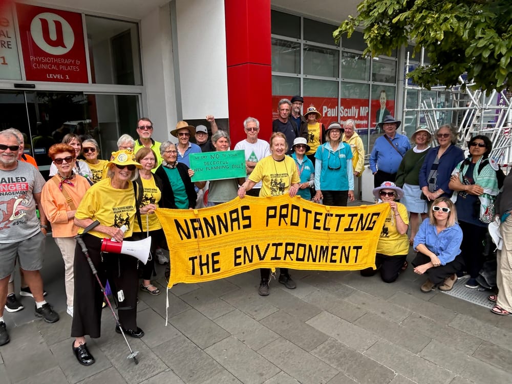 Protestors say fast-tracked new planning laws favour developers not environment post image
