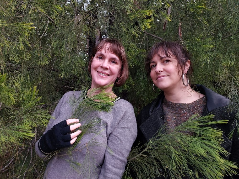 The Grassening: A living installation at Illawarra Nature Festival post image