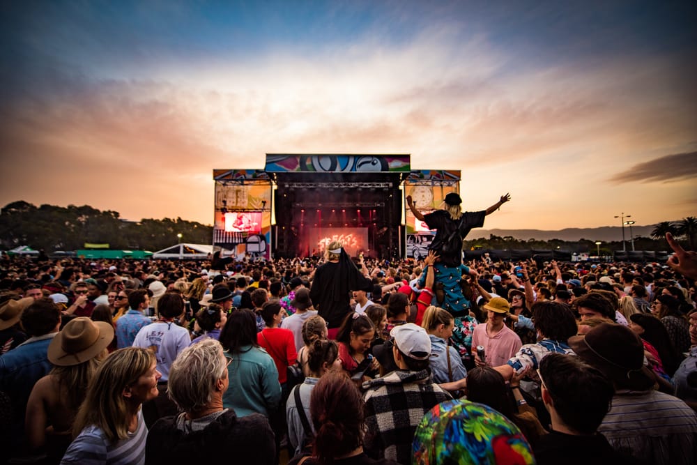 'It's a beautiful space': UOW campus to host Yours and Owls Festival post image