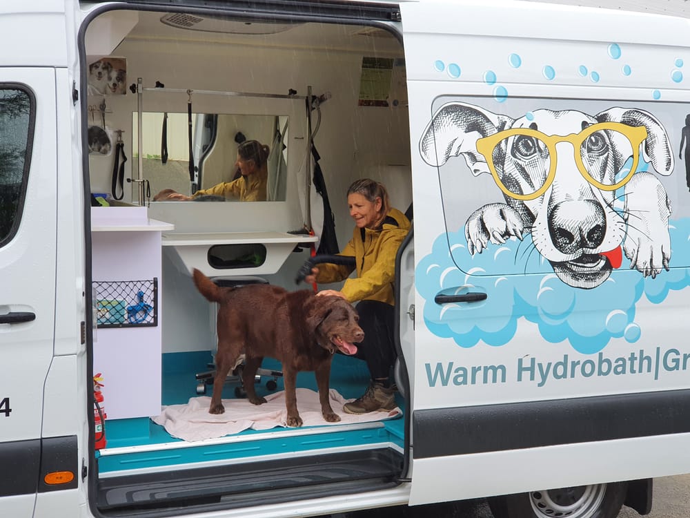 Q&A with a Dog Groomer post image