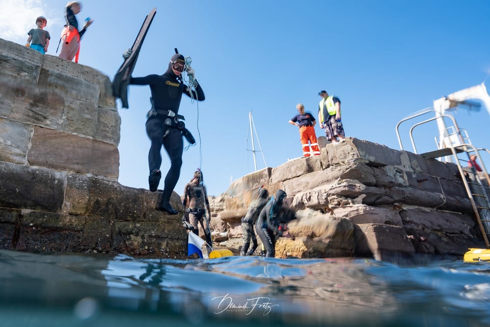 Clean up the harbour this Saturday post image