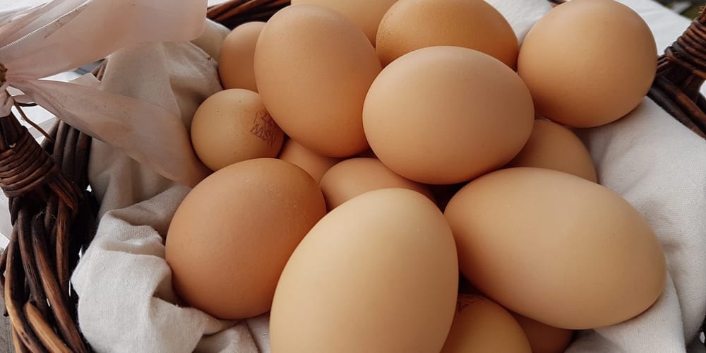 Let’s talk about eggs post image