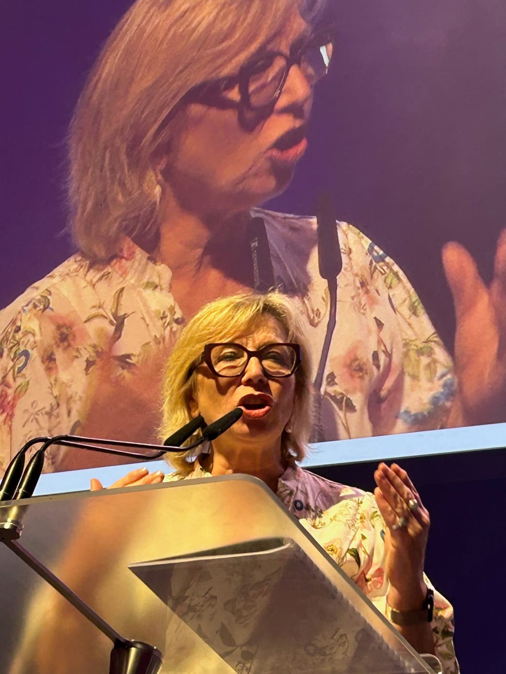 Rosie Batty tells sold-out International Women's Day event it's time for men to 'step up' post image