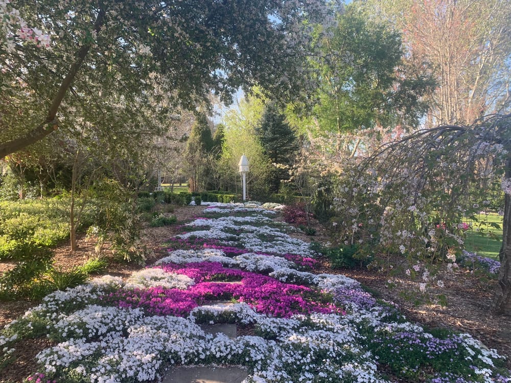 Discover Kathy Finigan's Secret Garden in the Southern Highlands post image