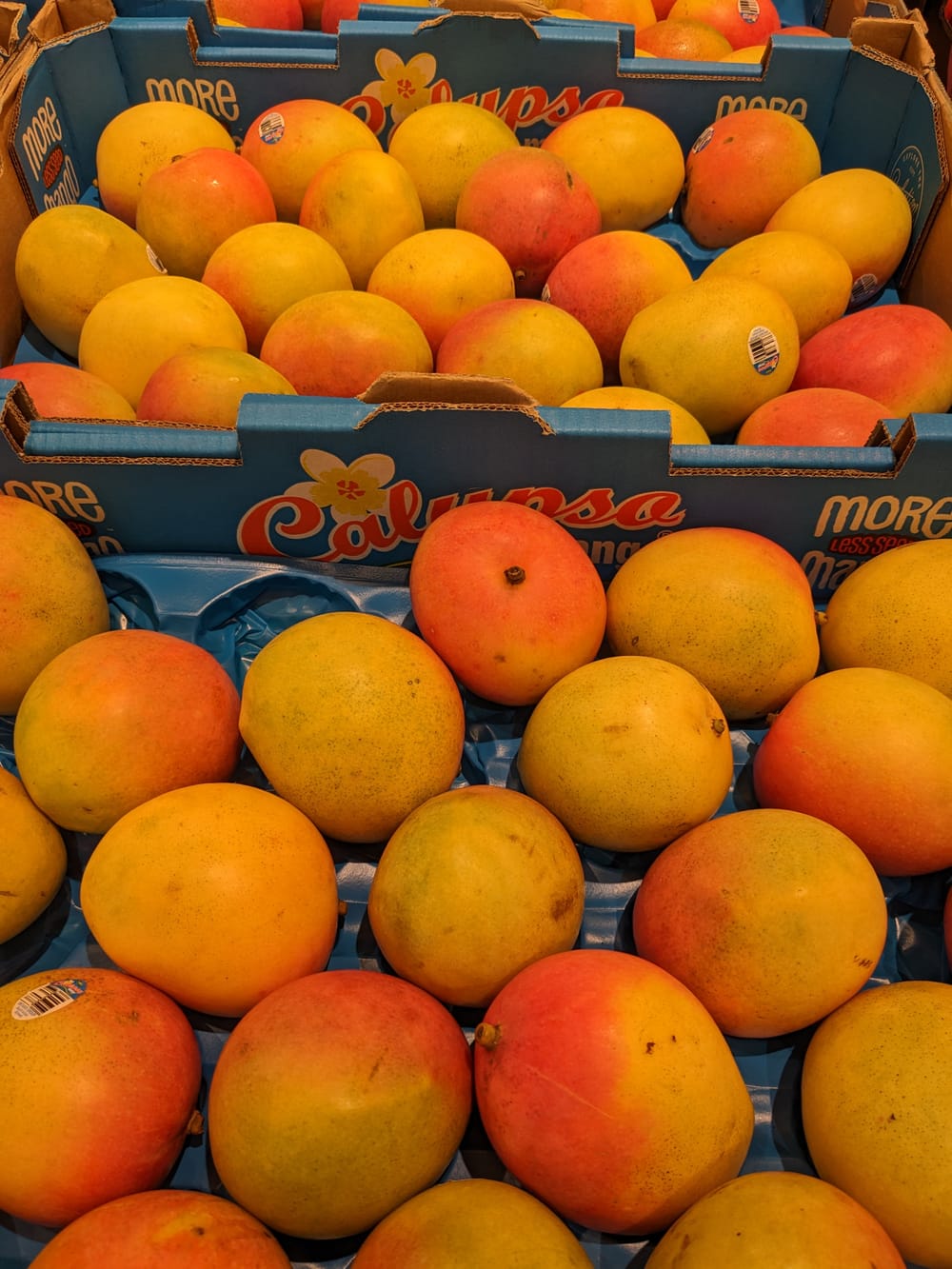 What's in season in January post image