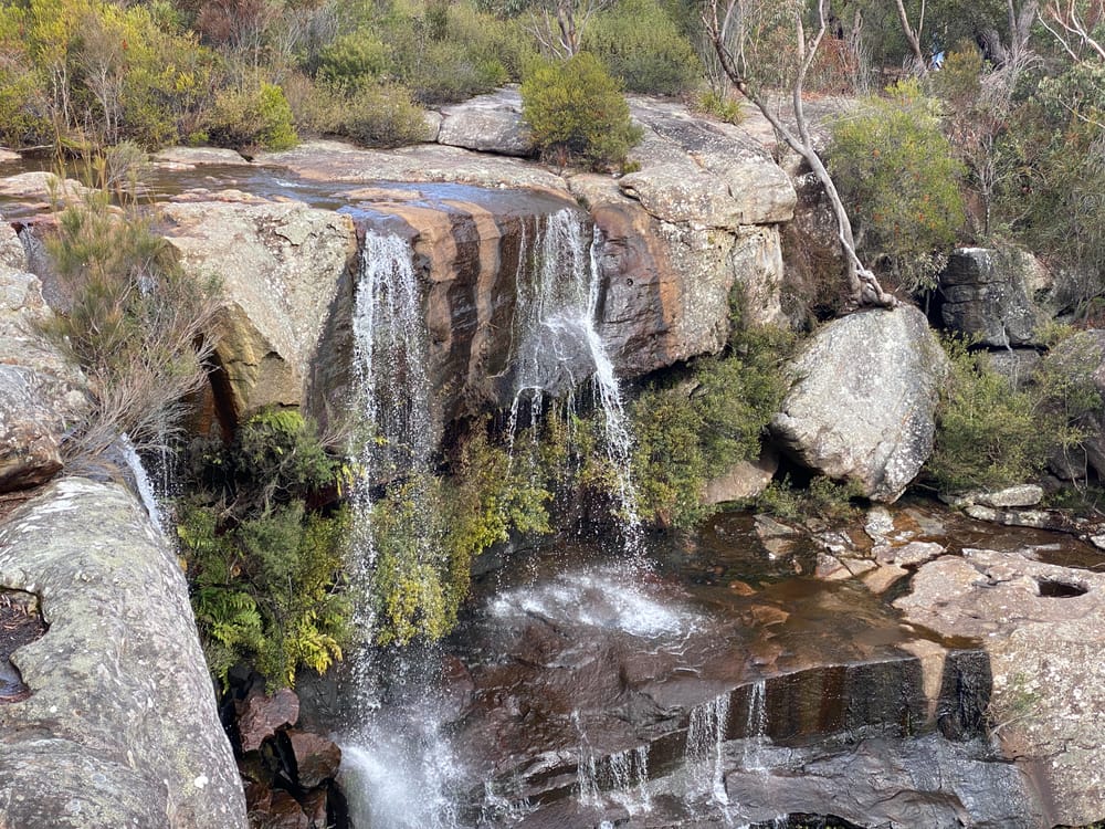 Short and sweet – the walk to Maddens Falls post image